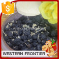 first class quality / dried style black goji berry